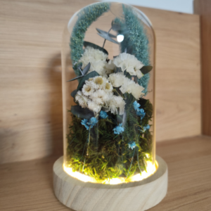 Cúpula de flores preservadas