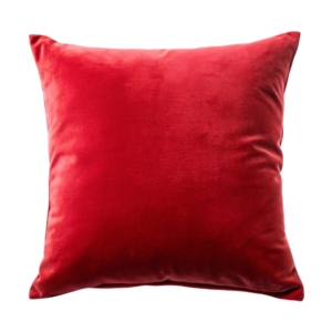 Cojín de terciopelo 40x40